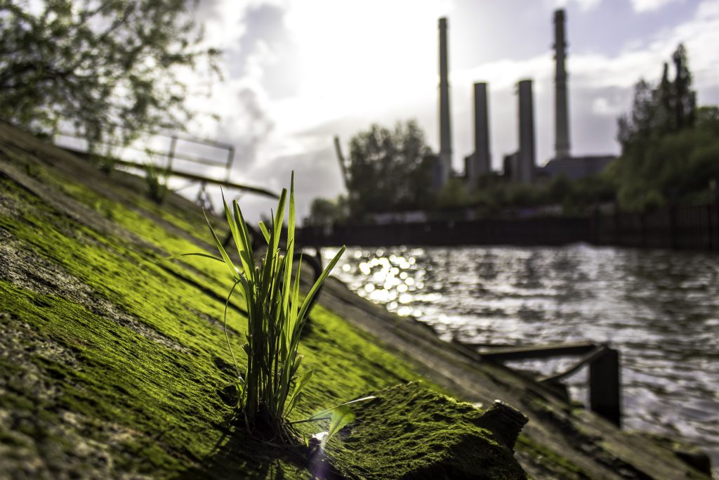 sustainability