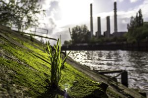 sustainability